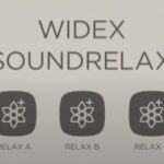 Finding Peace in a Noisy World: Widex SoundRelax™ Technology